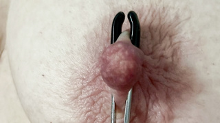 Die prallen Lustnippel