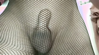 Welche Frau oder Mann hätte Lust