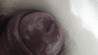 Peehole dehnen zum Orgasmus