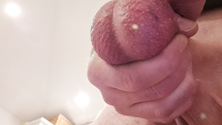 Diverse Schwanzbilder