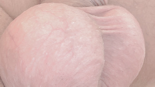 Mein Schwanz im Standby-Modus.