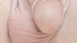 Mein Schwanz im Standby-Modus.