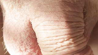 Ich stelle hier mal meinen kleinen penis vor.