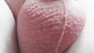 Ich stelle hier mal meinen kleinen penis vor.