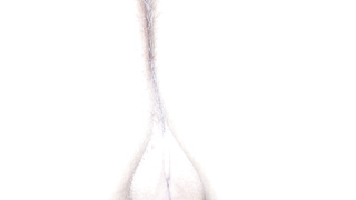 Gefällt euch Karina ihre Muschi?