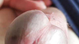 Ein paar Schwanz Impressionen von mir