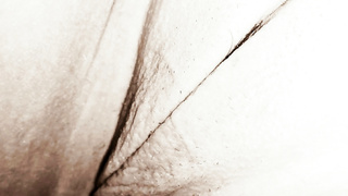 Möse meiner Freundin