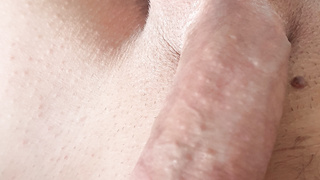 Mein Penis für euch.