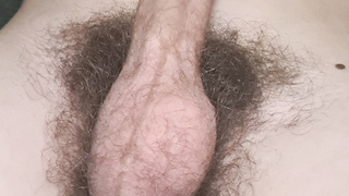 Behaarter Penis