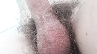 Behaarter Penis