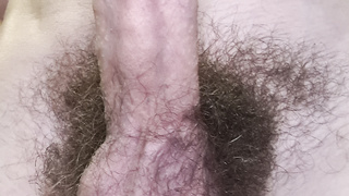 Behaarter Penis