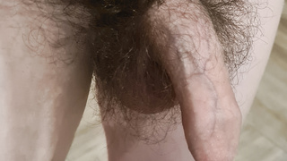 Behaarter Penis