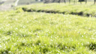 Die ersten Bilder von mir