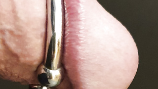 Mein neuer Eichelring