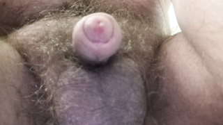 Behaart oder nicht Behaart