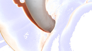 Schweres Gerät im Einsatz