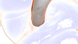 Schweres Gerät im Einsatz