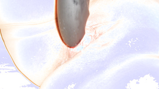 Schweres Gerät im Einsatz