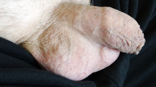 Einfach nur Schwanz zeigen