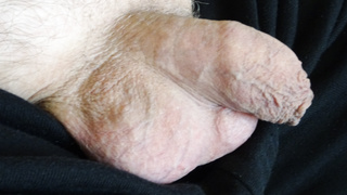 Einfach nur Schwanz zeigen