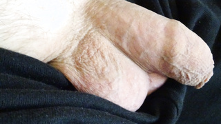 Einfach nur Schwanz zeigen