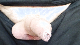 Einfach nur Schwanz zeigen