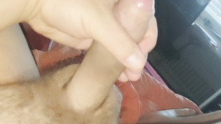 Ein paar Ansichten meines Schwanzes