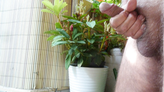 Bin wieder mal nackt auf dem Balkon