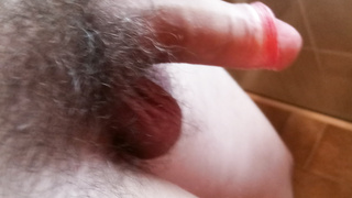 Schambehaarter Penis in 3 Perspektiven