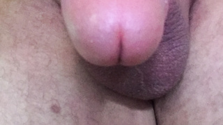 Er möchte so gerne verwöhnen