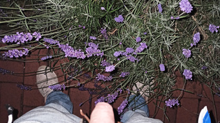 Klein aber kann auch überdurchschnittlich groß