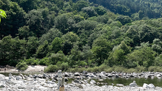 Ich streichle und lutsche gern