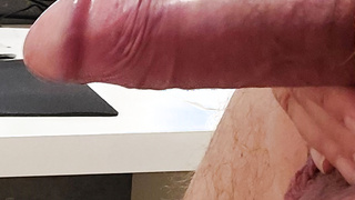 Des Mannes bester Freund