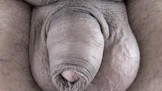 Kleiner Schwanz mit dicken Eiern.