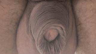 Kleiner Schwanz mit dicken Eiern.