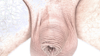 Kleiner Schwanz mit dicken Eiern.