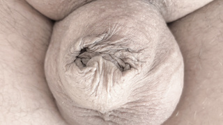 Kleiner Schwanz mit dicken Eiern.