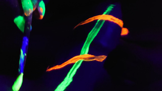 Bodypaint Neon night