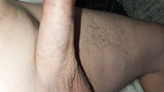 Der Schwanz von meinem Mann