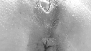 Meine Pussy hat Besuch