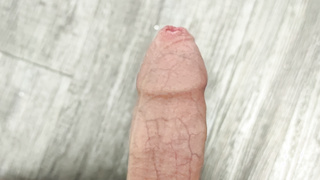 Erste Bilder für euch