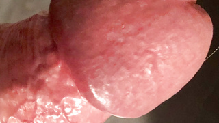 Penis CloseUps