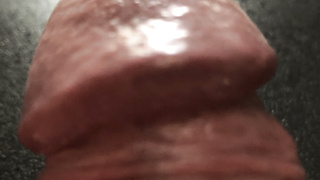 Penis CloseUps