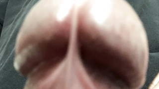 Penis CloseUps