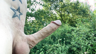 Mein Schwanz und Arsch