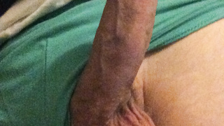 Meinen kleinen Freund vorstellen