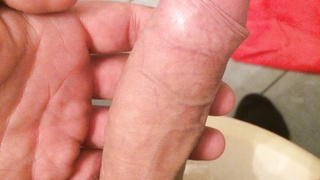 Meinen kleinen Freund vorstellen