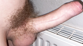 Mein Schwanz in verschiedenen Formen