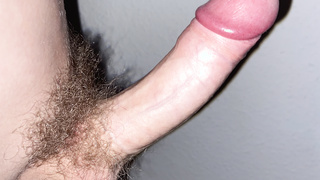 Mein Schwanz in verschiedenen Formen