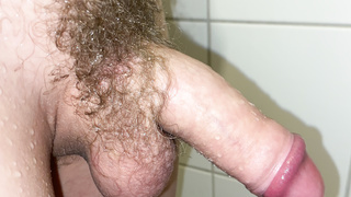 Mein Schwanz in verschiedenen Formen